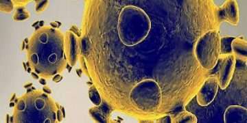 ৪১ দেশে দ্রুত ছড়াচ্ছে করোনার নতুন ধরন