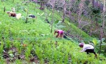 বৈষম্যের শিকার ১১ ক্ষুদ্র নৃ-গোষ্ঠী