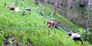 বৈষম্যের শিকার ১১ ক্ষুদ্র নৃ-গোষ্ঠী