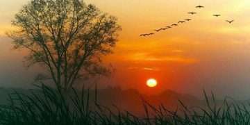 বিদায় ২০২৩