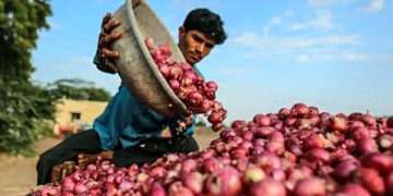 মুখ ফেরাচ্ছেন ভোক্তা, বিপাকে পড়বে ব্যবসায়ীরা