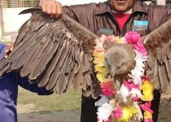 নির্বাচনী প্রচারে জীবন্ত ঈগল!