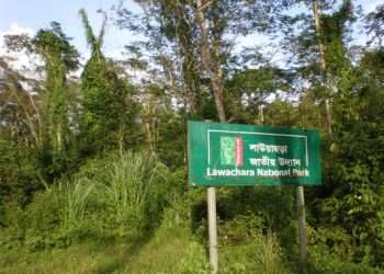 কালাছড়ায় কমে যাচ্ছে বন্যপ্রাণীর আবাসস্থল