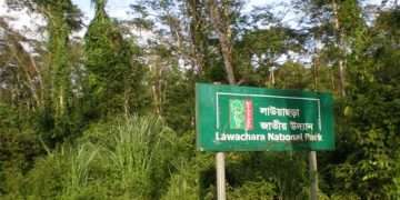 কালাছড়ায় কমে যাচ্ছে বন্যপ্রাণীর আবাসস্থল