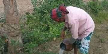 দুই নম্বর বিজনেস করি না