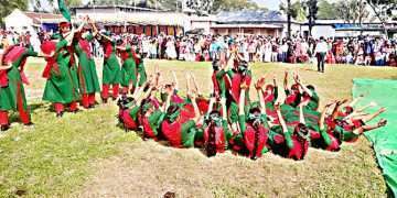 মনোমুগ্ধকর ডিসপ্লে প্রদর্শনের মাধ্যমে বিজয় দিবস পালিত