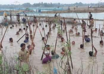 সখীপুরে মাছ ধরা উৎসব