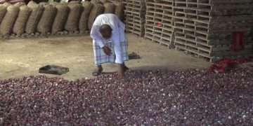 ক্রেতা নেই, পেঁয়াজে পচন