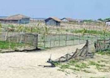 সমুদ্রসৈকত দখল করে প্লট বাণিজ্য