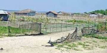 সমুদ্রসৈকত দখল করে প্লট বাণিজ্য