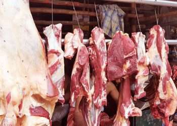 সাধ্যের বাইরে গরুর মাংস