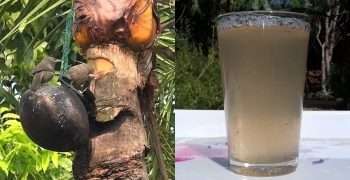 রস সরবরাহেই আনন্দ