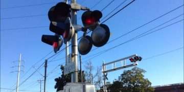 দন্ধ (এম এ ওয়াহাব)