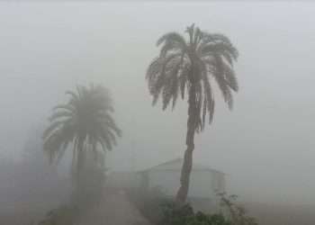 নওগাঁয় শীতের তীব্রতা বাড়ছেই