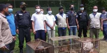 ১০ মাসে ৩৮টি বন্যপ্রাণী উদ্ধার