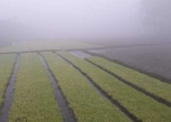 ৫ ডিগ্রির ঘরে দুই জেলার তাপমাত্রা