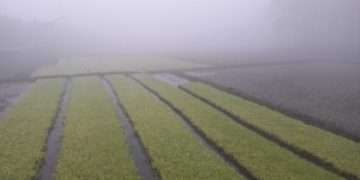 ৫ ডিগ্রির ঘরে দুই জেলার তাপমাত্রা