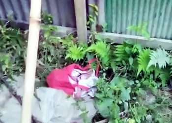 সেনবাগে শপিং ব্যাগে নবজাতকের লাশ