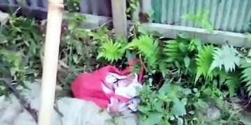 সেনবাগে শপিং ব্যাগে নবজাতকের লাশ