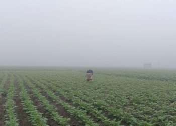 উত্তরে হাড় কাঁপানো শীত