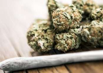 ২ হাজার টাকায় চুক্তি! কুরিয়ারে গাঁজা