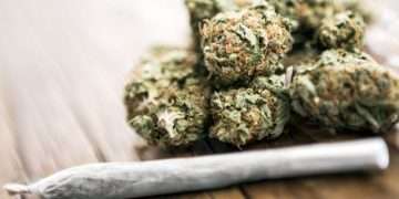 ২ হাজার টাকায় চুক্তি! কুরিয়ারে গাঁজা