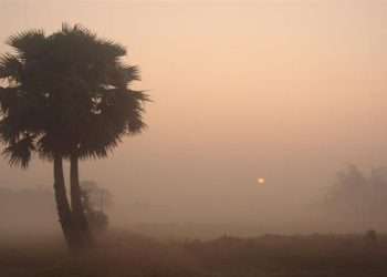 ঘন কুয়াশা (এম এ ওয়াহাব)