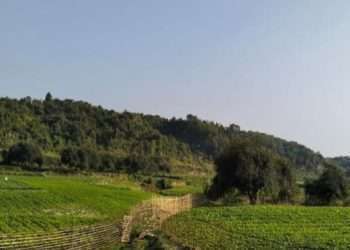 নাইক্ষ্যংছড়ি-মিয়ানমার সীমান্তে বিস্ফোরণের বিকট শব্দ