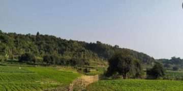 নাইক্ষ্যংছড়ি-মিয়ানমার সীমান্তে বিস্ফোরণের বিকট শব্দ