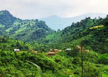 কেএনএফ’র হুমকি