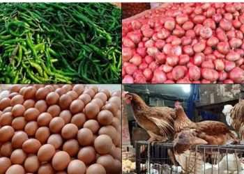 ডিম পেঁয়াজ ও ব্রয়লার মুরগি চড়া দামে বিক্রি