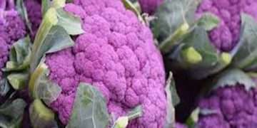 জয়পুরহাটে বেগুনী ফুলকপি চাষে লাভবান কৃষক