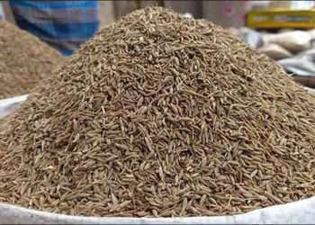 ৪০০ টাকা কমেছে জিরার দাম
