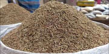 ৪০০ টাকা কমেছে জিরার দাম