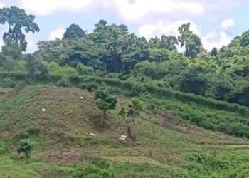 মিয়ানমারের শত শত গুলি এসে পড়েছে বাংলাদেশে
