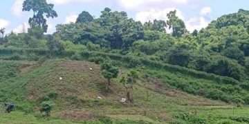 মিয়ানমারের শত শত গুলি এসে পড়েছে বাংলাদেশে