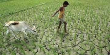 আবহাওয়া খাপ খাওয়ানোর সক্ষমতা হারাচ্ছে বাংলাদেশ