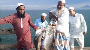 পায়রা নদীতে জেলের বড়শিতে উঠল বিশাল কোরাল