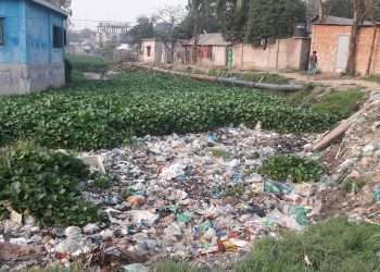 বাসা-বাড়ির ময়লা যাচ্ছে খালে