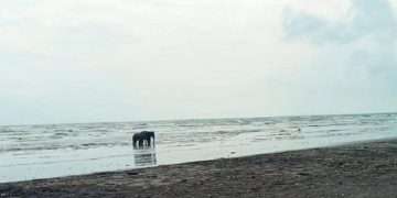 নাফ নদে রক্ষা শাহপরীর