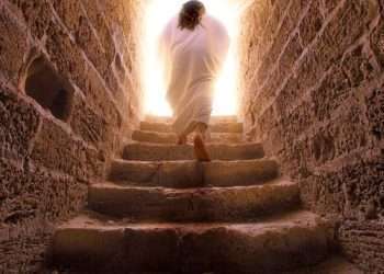 বিশ্ব ইতিহাস (এম এ ওয়াহাব)