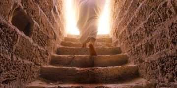 বিশ্ব ইতিহাস (এম এ ওয়াহাব)