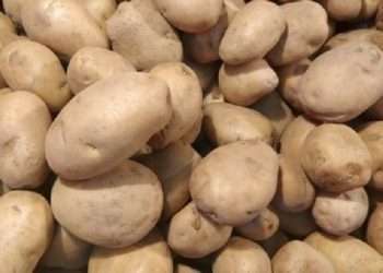 আমদানির খবরে কমছে আলুর দাম