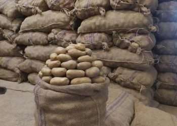 আলুর বাজার কিছুটা নাগালে