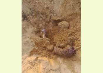 হাতির মাংস খেয়ে পুঁতে রাখা হয় হাড়গোড়