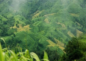 রুমা সীমান্ত এলাকায় তীব্র গোলাগুলি