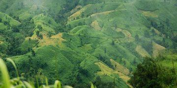 রুমা সীমান্ত এলাকায় তীব্র গোলাগুলি