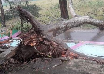 কালবৈশাখী ঝড়ে লন্ডভন্ড শ্রীমঙ্গল-কমলগঞ্জ