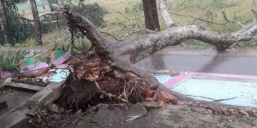 কালবৈশাখী ঝড়ে লন্ডভন্ড শ্রীমঙ্গল-কমলগঞ্জ