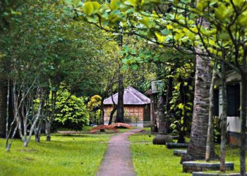 এক লড়াকু মাকে সম্মাননা জানালো